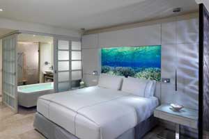 Nature View Junior Suite at Paradisus La Perla